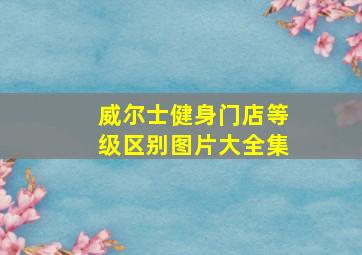 威尔士健身门店等级区别图片大全集