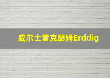 威尔士雷克瑟姆Erddig