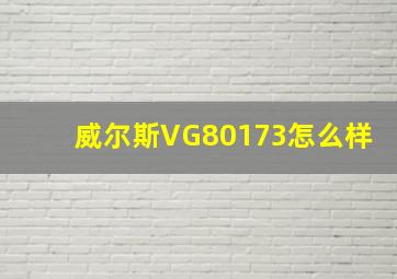 威尔斯VG80173怎么样