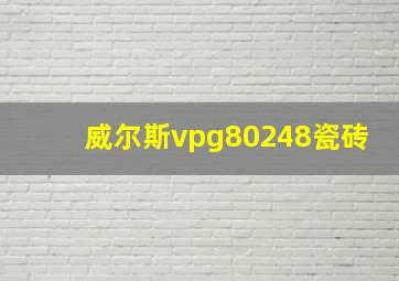 威尔斯vpg80248瓷砖