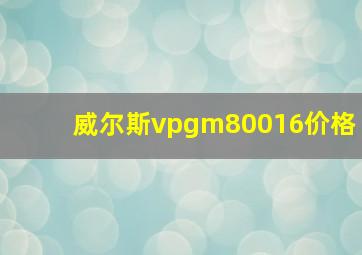 威尔斯vpgm80016价格