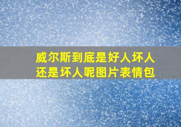 威尔斯到底是好人坏人还是坏人呢图片表情包