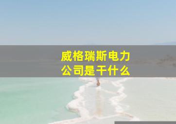 威格瑞斯电力公司是干什么