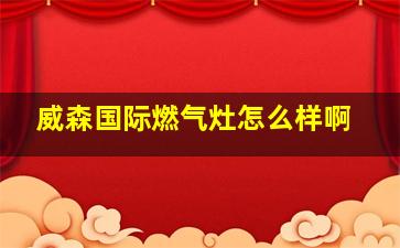 威森国际燃气灶怎么样啊