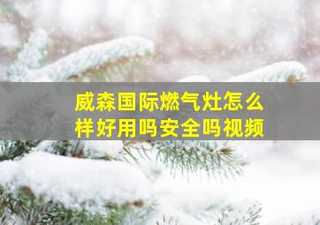 威森国际燃气灶怎么样好用吗安全吗视频