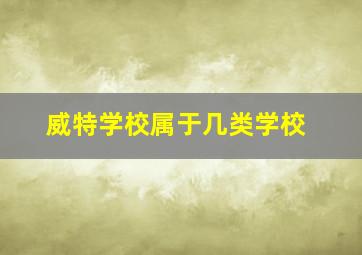 威特学校属于几类学校