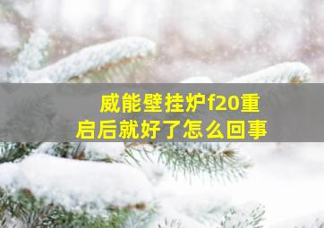 威能壁挂炉f20重启后就好了怎么回事