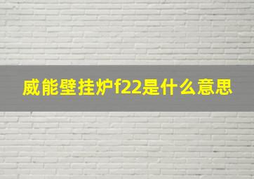 威能壁挂炉f22是什么意思