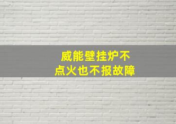 威能壁挂炉不点火也不报故障