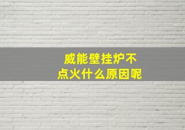 威能壁挂炉不点火什么原因呢