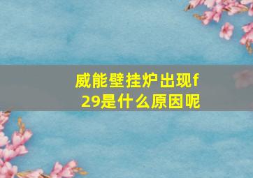 威能壁挂炉出现f29是什么原因呢