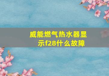 威能燃气热水器显示f28什么故障