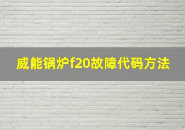 威能锅炉f20故障代码方法