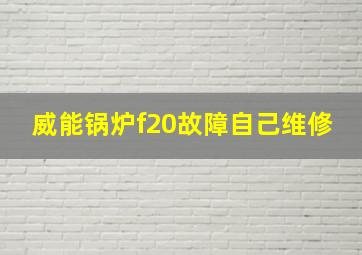 威能锅炉f20故障自己维修