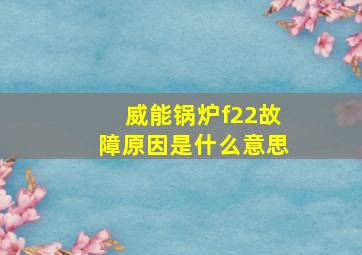 威能锅炉f22故障原因是什么意思