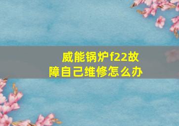 威能锅炉f22故障自己维修怎么办