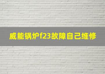 威能锅炉f23故障自己维修