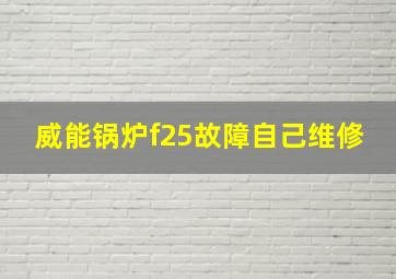 威能锅炉f25故障自己维修