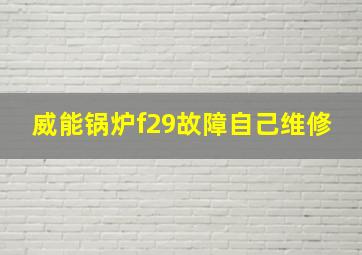 威能锅炉f29故障自己维修