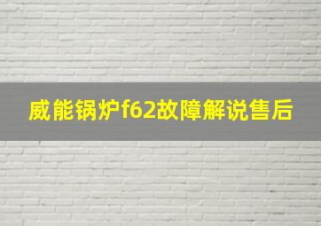 威能锅炉f62故障解说售后