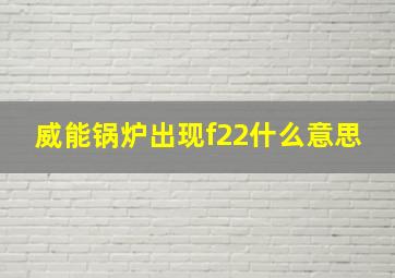 威能锅炉出现f22什么意思