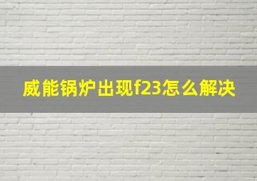 威能锅炉出现f23怎么解决