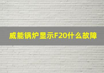 威能锅炉显示F20什么故障