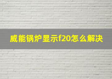 威能锅炉显示f20怎么解决