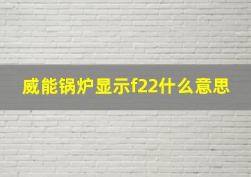 威能锅炉显示f22什么意思