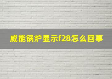 威能锅炉显示f28怎么回事