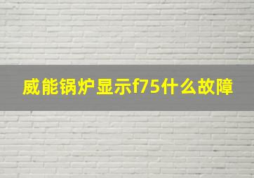 威能锅炉显示f75什么故障