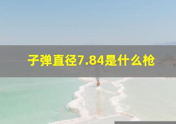 子弹直径7.84是什么枪