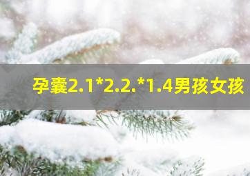 孕囊2.1*2.2.*1.4男孩女孩