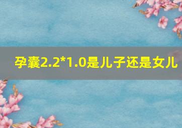 孕囊2.2*1.0是儿子还是女儿