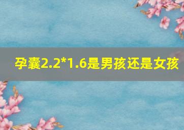 孕囊2.2*1.6是男孩还是女孩