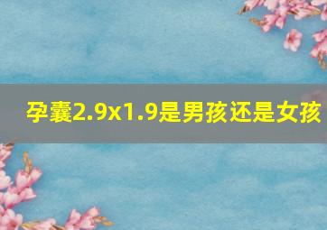 孕囊2.9x1.9是男孩还是女孩