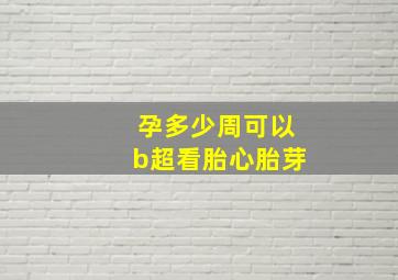 孕多少周可以b超看胎心胎芽