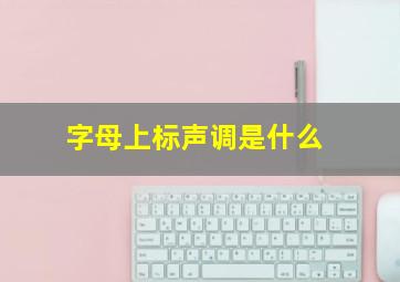 字母上标声调是什么