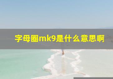 字母圈mk9是什么意思啊