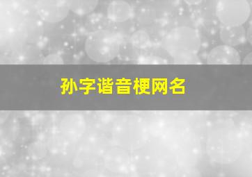 孙字谐音梗网名