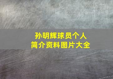 孙明辉球员个人简介资料图片大全