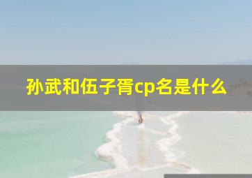 孙武和伍子胥cp名是什么