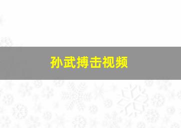 孙武搏击视频