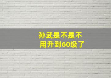 孙武是不是不用升到60级了