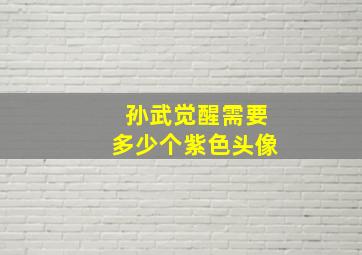 孙武觉醒需要多少个紫色头像