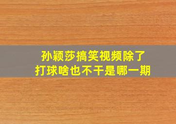 孙颖莎搞笑视频除了打球啥也不干是哪一期