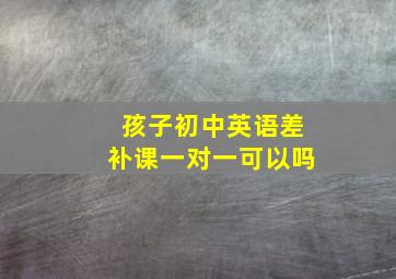 孩子初中英语差补课一对一可以吗