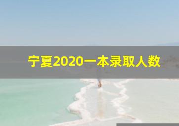 宁夏2020一本录取人数