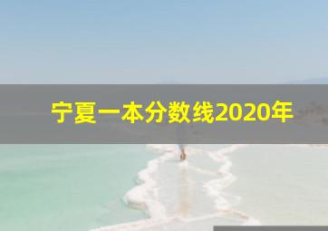 宁夏一本分数线2020年