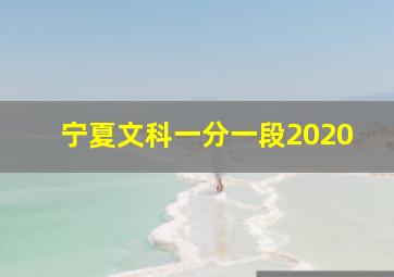 宁夏文科一分一段2020